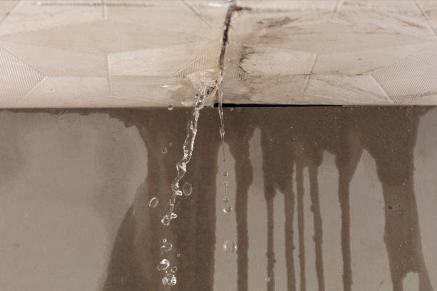 Professional Water Damage Repair technician working in Lebanon, OH